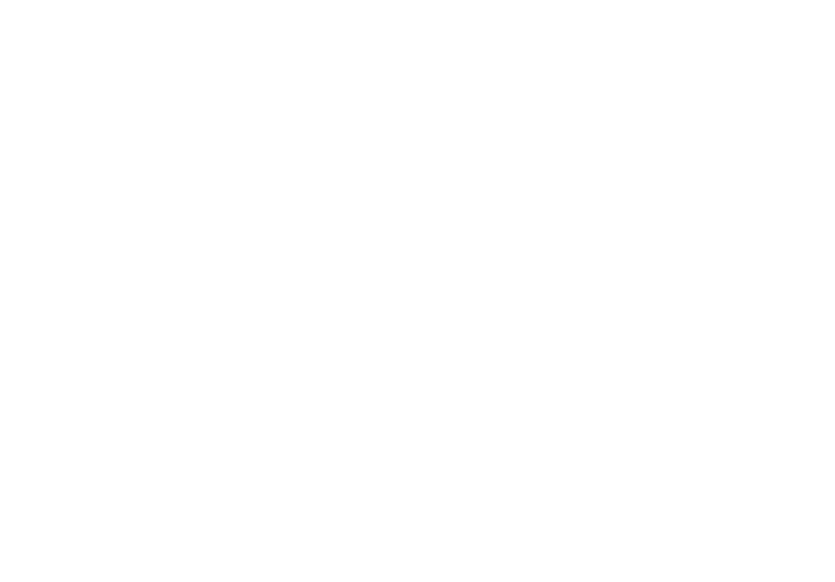 Andretti