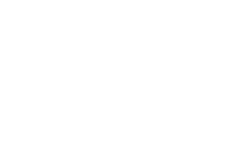 Dubai Holding